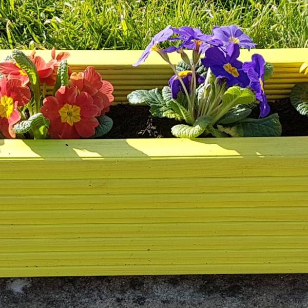 decking_garden_trough_painted_yellow